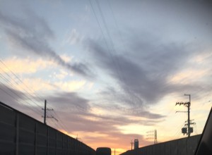 写真 2016-03-18 6 08 24