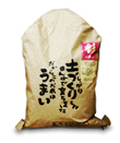 長野県上田市産あきたこまち