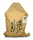 新潟県産コシヒカリ