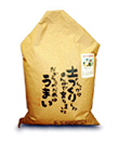 魚沼産コシヒカリ
